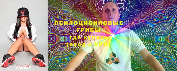 трава Армянск
