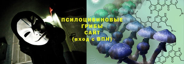 трава Армянск