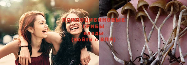 прущая мука Арсеньев