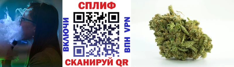 Каннабис сатива  Петровск 
